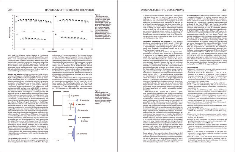 Special Volume: New Species and Global Index sample page